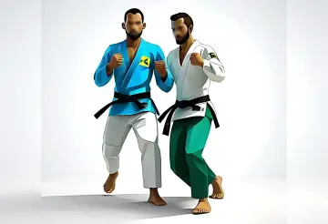 YYC BRAZILIAN JIU JITSU, Calgary