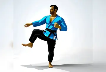 Gracie Jiu-Jitsu Ottawa, Ottawa