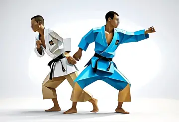 Vernon Judo Club, Vernon