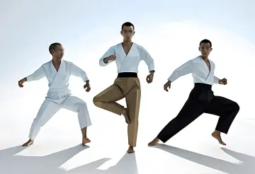 Japan Karate Do Kenseikan Canada (Not for Profit Org.), Scarborough